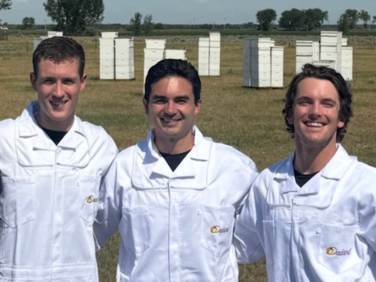 RONE co-founders Jack, Will and Tom in beekeeping suits at the hives
